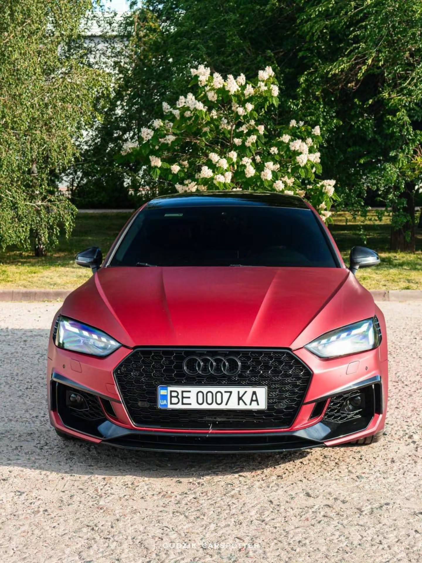 Audi S5 Sportback — фото 1