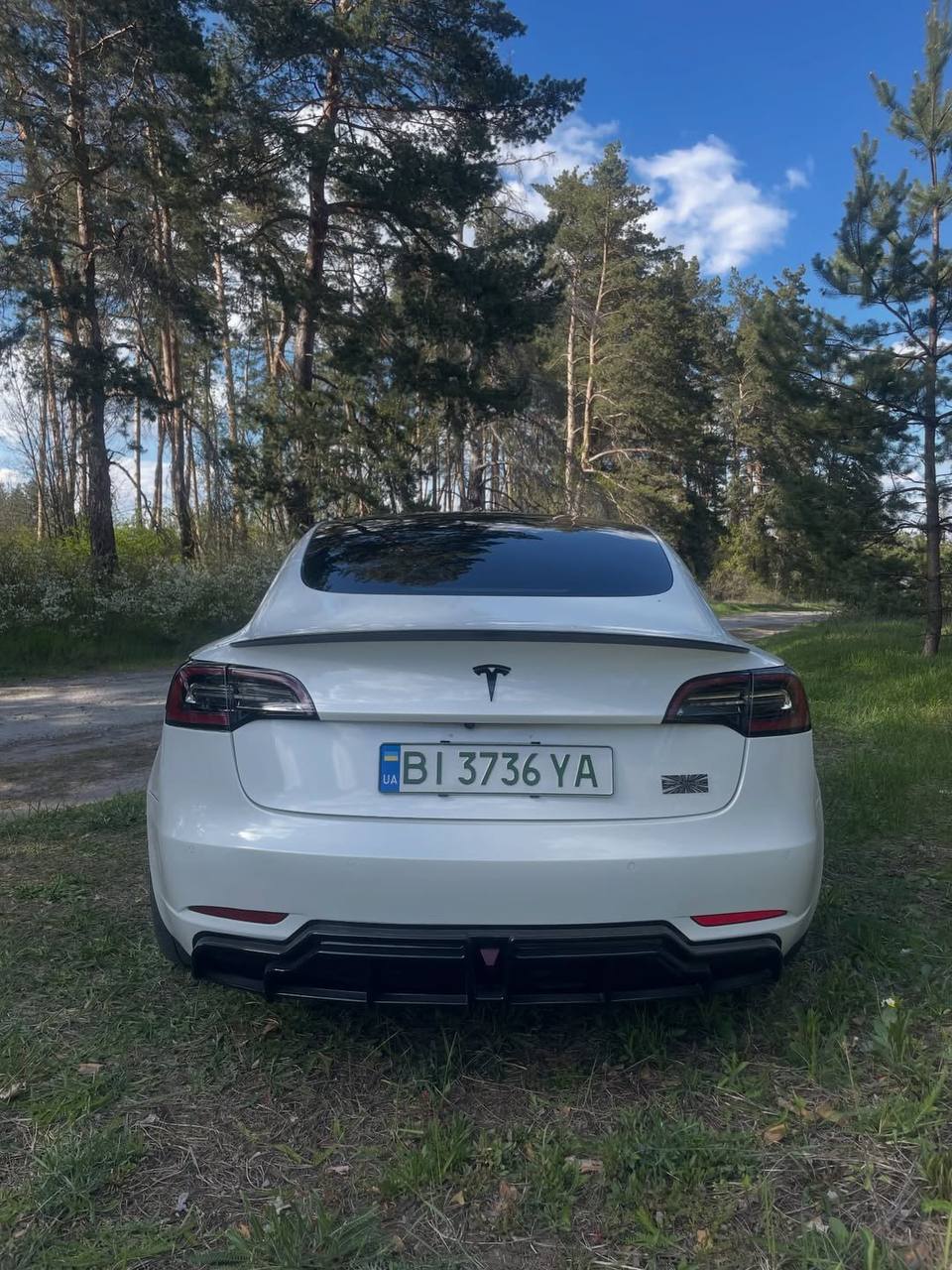 Tesla Model 3 — фото 1