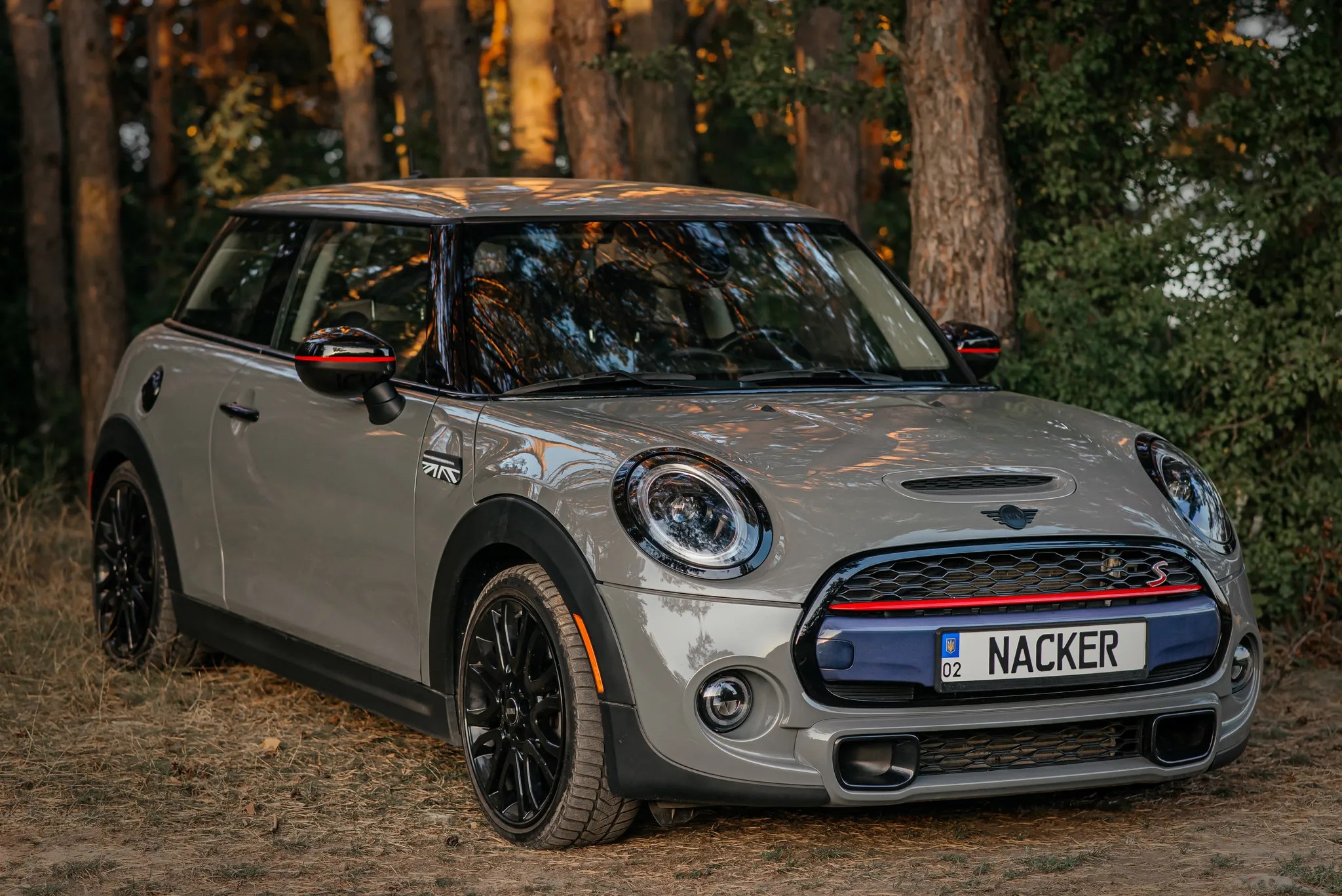 Mini Hardtop — фото 1