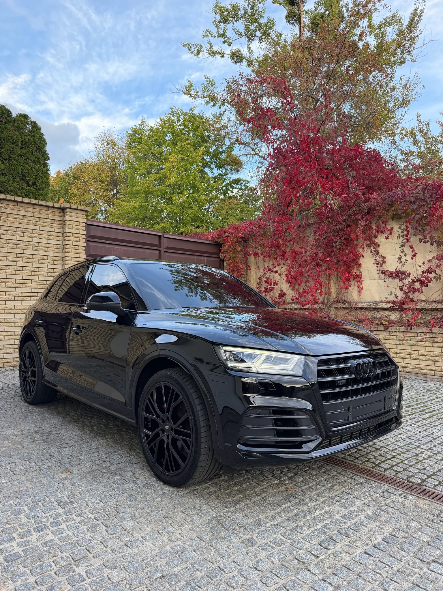 Audi SQ5 — фото 1
