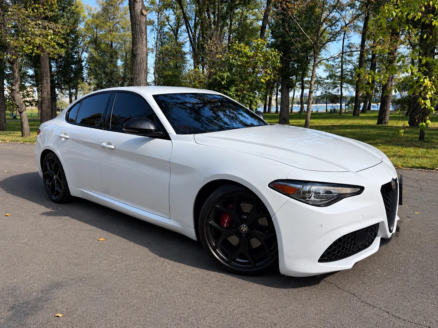 Alfa Romeo Giulia (952) — фото 1